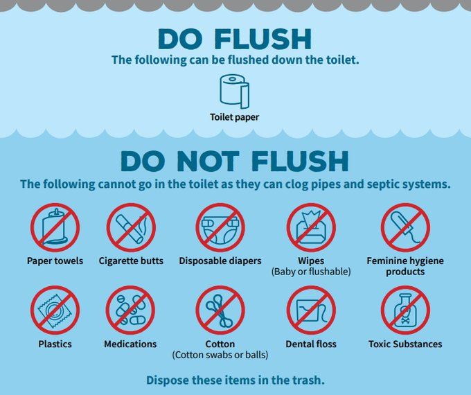 FlushGuide